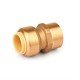 FNPT Straight Lead Free Push Coupling ½in x ½in FNPT Straight Lead Free Push Coupling ½in x ½in