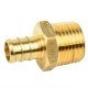 Pex Male Adpt Barb To MPT ½in Barb x ½in MPT Pex Male Adpt Barb To MPT ½in Barb x ½in MPT
